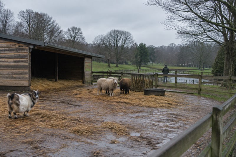 Heaton Park Animal Centre